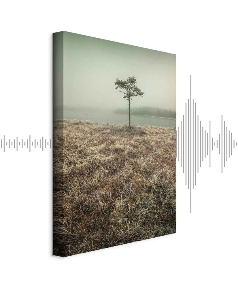 Paveikslas Ežero krantas