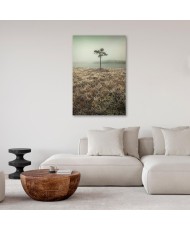 Paveikslas Ežero krantas