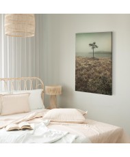 Paveikslas Ežero krantas