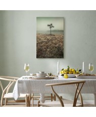 Paveikslas Ežero krantas