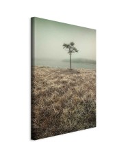 Paveikslas Ežero krantas