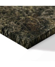 Paveikslas Ežero krantas