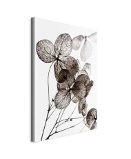 Paveikslas Permatomas dobilas