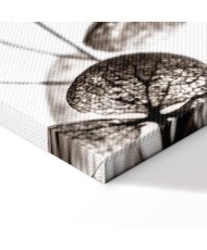 Paveikslas Permatomas dobilas