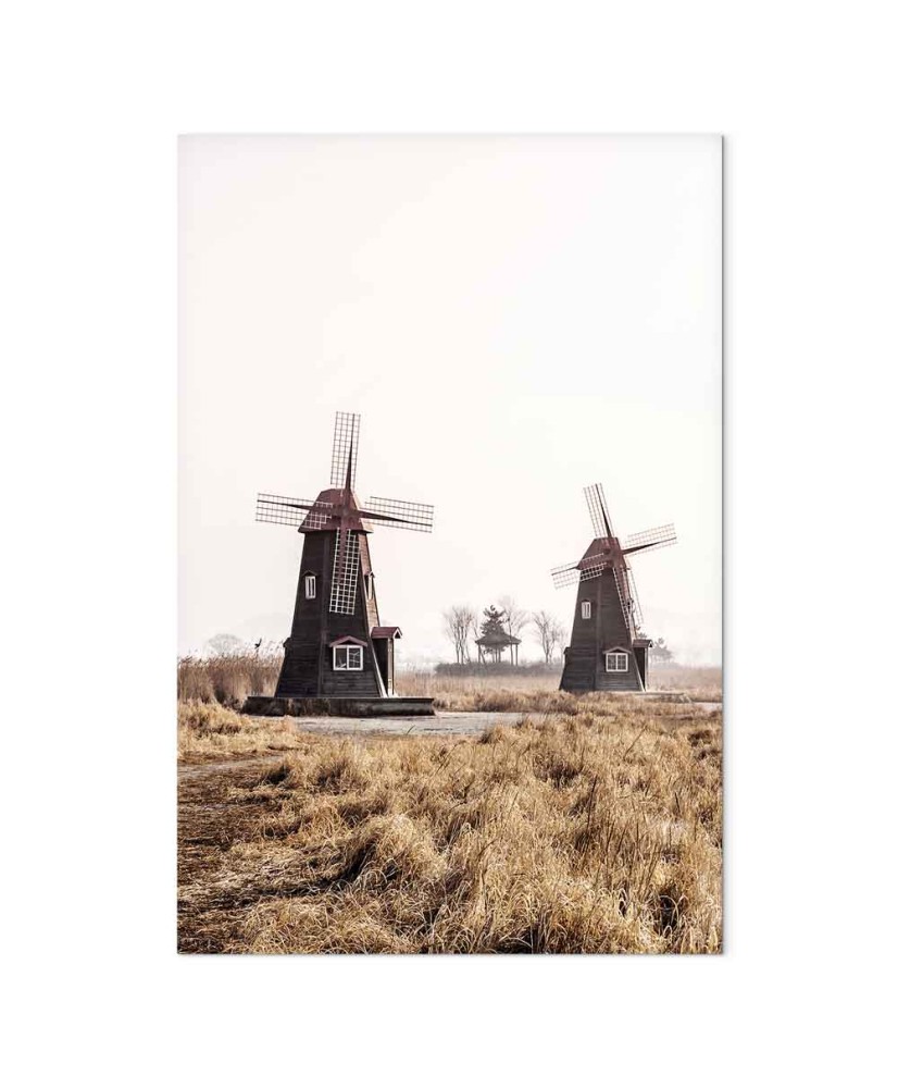 Paveikslas Medinis vėjo malūnas