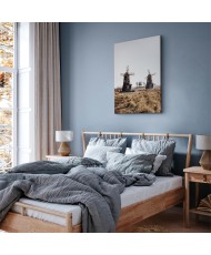 Paveikslas Medinis vėjo malūnas