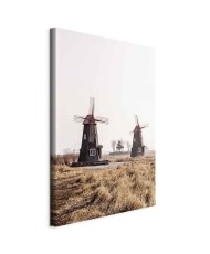 Paveikslas Medinis vėjo malūnas