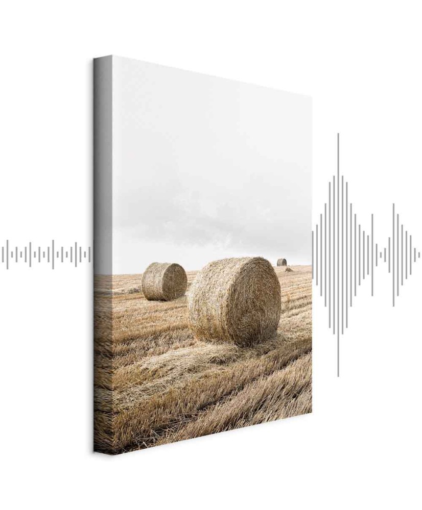 Paveikslas Šieno laukas