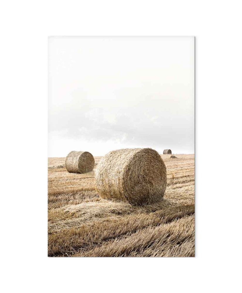 Paveikslas Šieno laukas