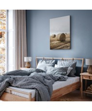 Paveikslas Šieno laukas