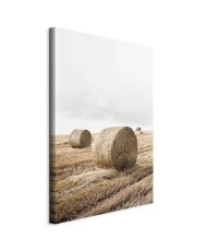 Paveikslas Šieno laukas