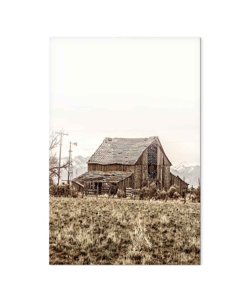 Paveikslas Apleista ranča