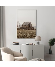 Paveikslas Apleista ranča