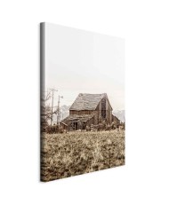 Paveikslas Apleista ranča