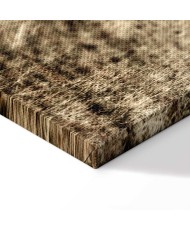 Paveikslas Apleista ranča