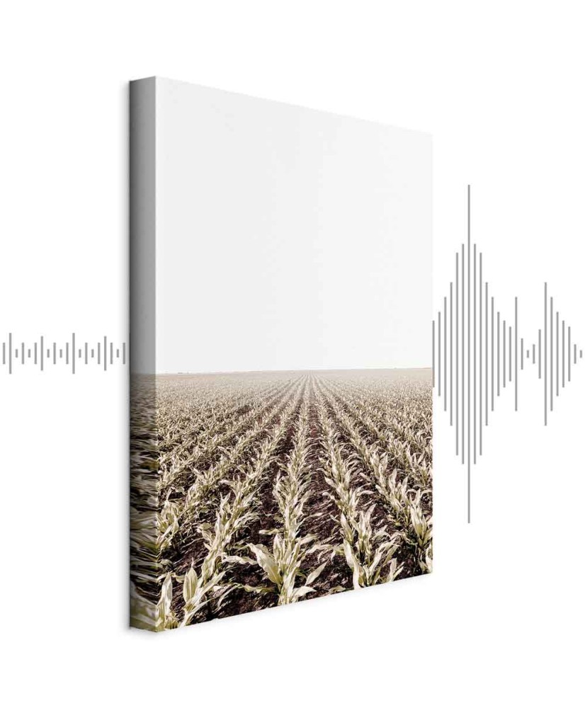 Paveikslas Kukurūzų laukas