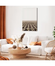 Paveikslas Kukurūzų laukas