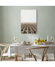 Paveikslas Kukurūzų laukas