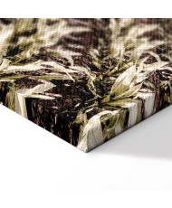 Paveikslas Kukurūzų laukas