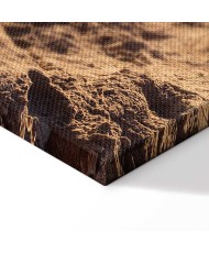 Paveikslas Medaus prisiminimas