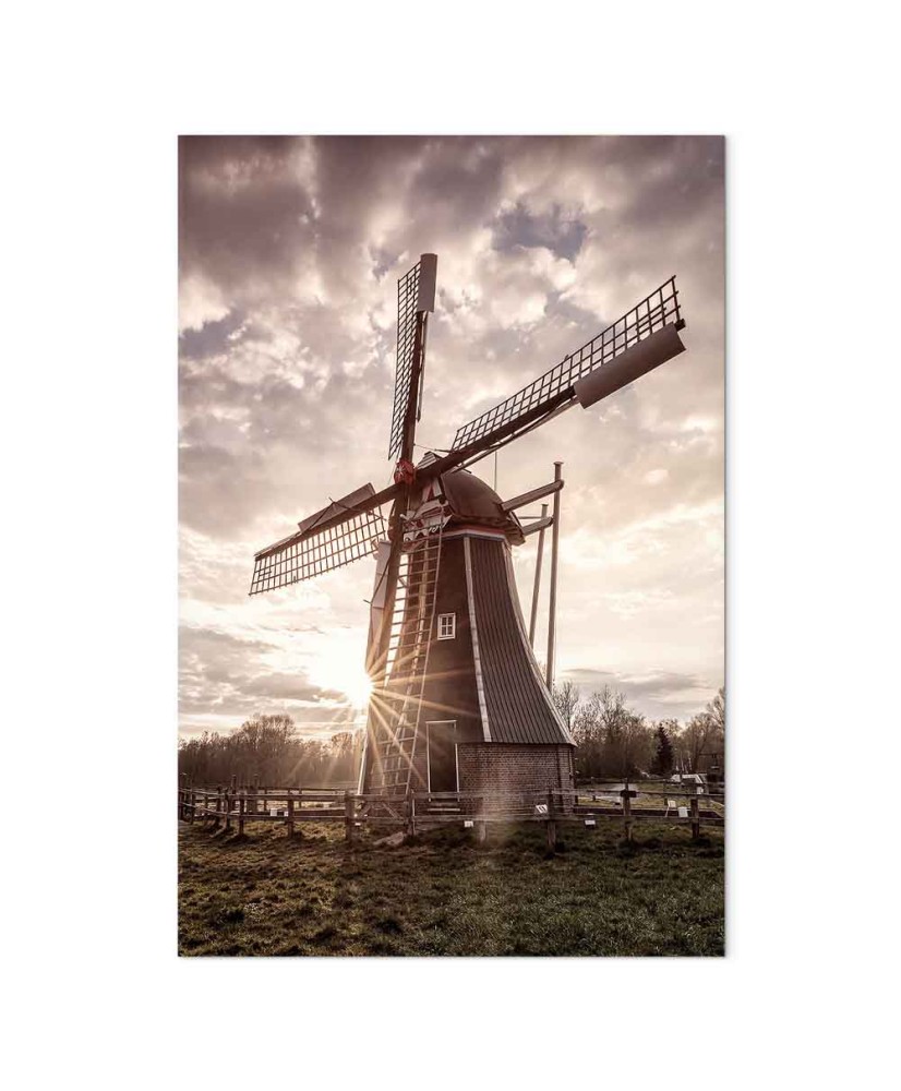 Paveikslas Vėjo prisiminimai