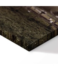 Paveikslas Vėjo prisiminimai