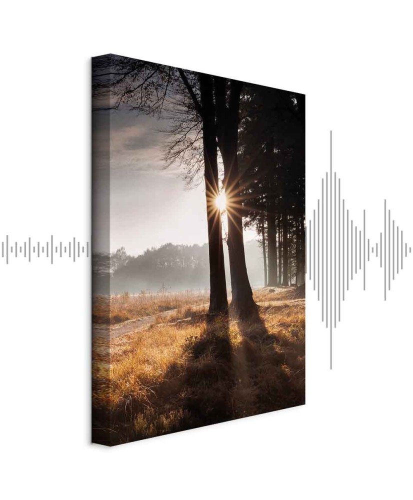 Paveikslas Mes esame šviesos spindulys