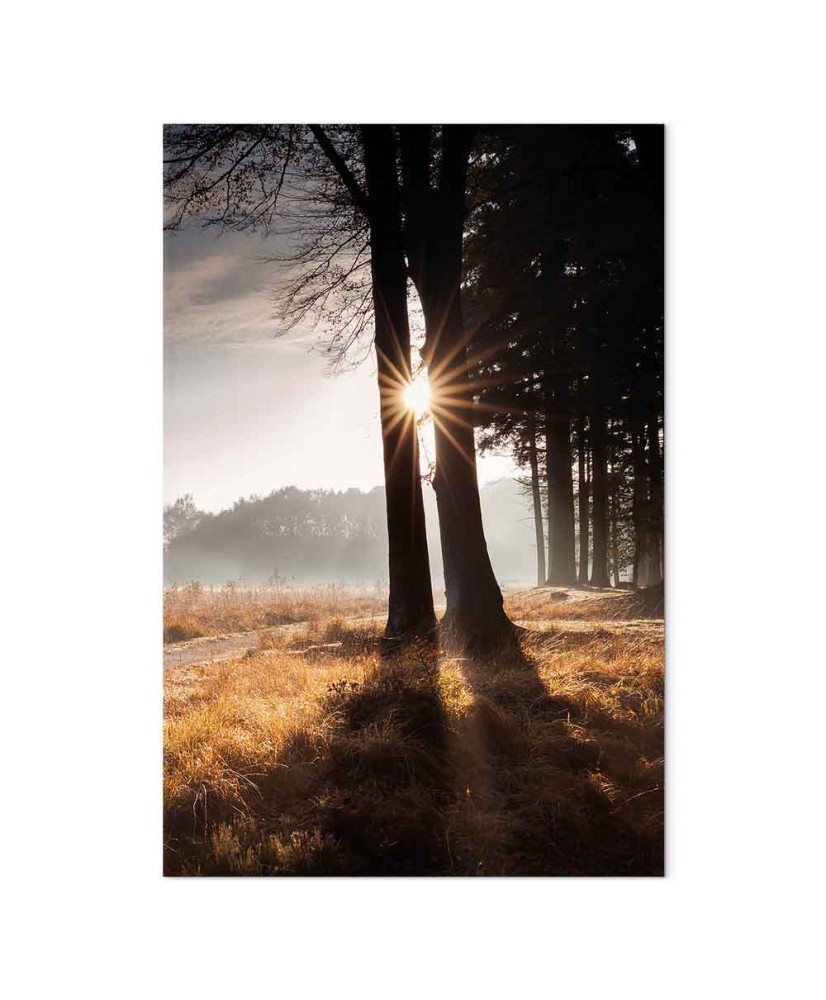 Paveikslas Mes esame šviesos spindulys