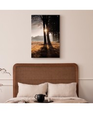 Paveikslas Mes esame šviesos spindulys