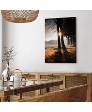 Paveikslas Mes esame šviesos spindulys