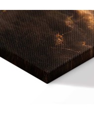 Paveikslas Mes esame šviesos spindulys