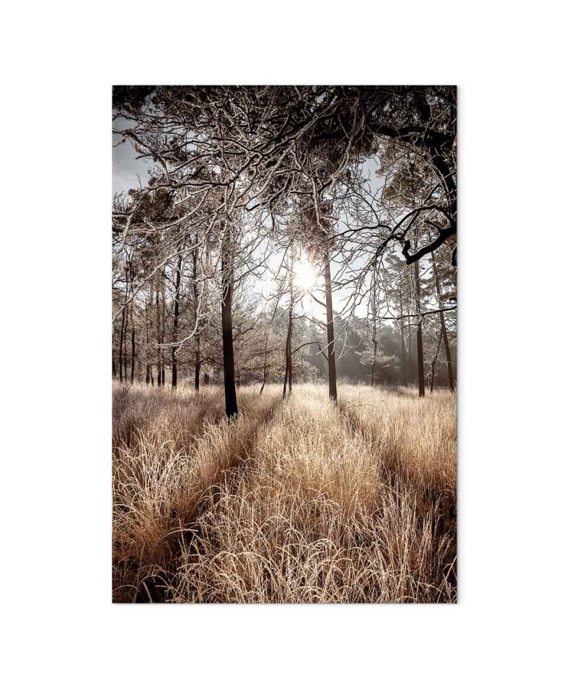 Paveikslas Tiesiai į meilę