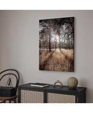 Paveikslas Tiesiai į meilę