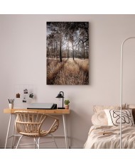 Paveikslas Tiesiai į meilę