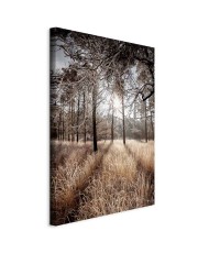 Paveikslas Tiesiai į meilę