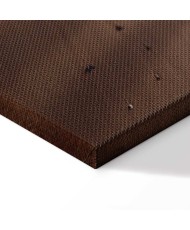 Paveikslas Šviesa ir viltis