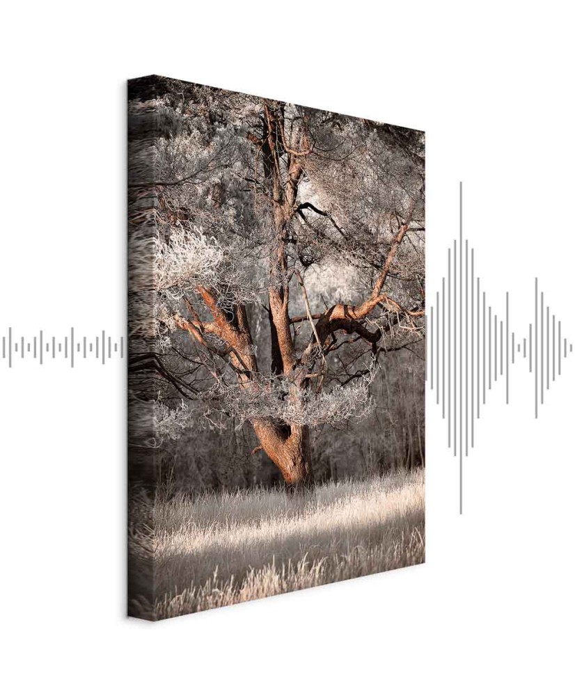 Paveikslas Mano istorija