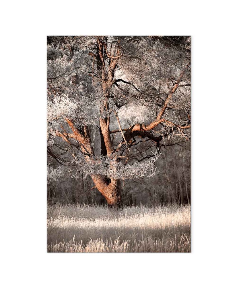 Paveikslas Mano istorija