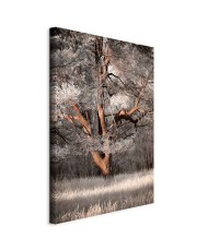 Paveikslas Mano istorija