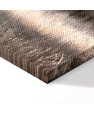 Paveikslas Mano istorija