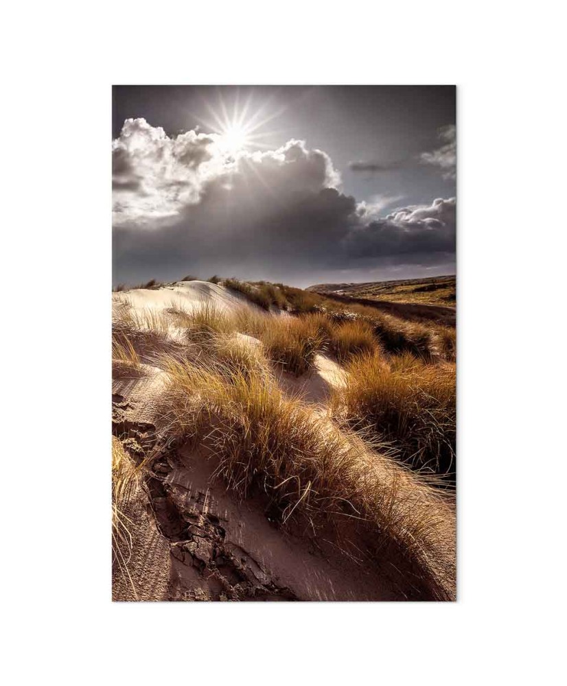 Paveikslas Drebančios šnabždesiai