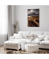 Paveikslas Drebančios šnabždesiai