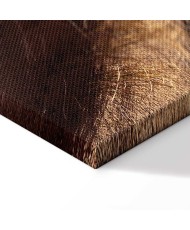 Paveikslas Drebančios šnabždesiai