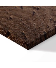 Paveikslas Mūsų kelias