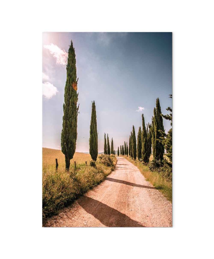 Paveikslas Italijos kiparisai