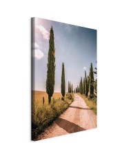 Paveikslas Italijos kiparisai