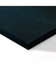 Paveikslas Kalnų kvėpavimas II