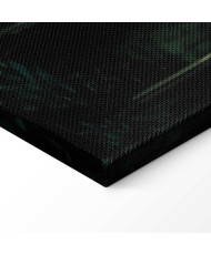 Paveikslas Žvaigždėta naktis