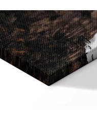 Paveikslas Kalnų širdis