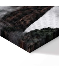 Paveikslas Rūko kalnai